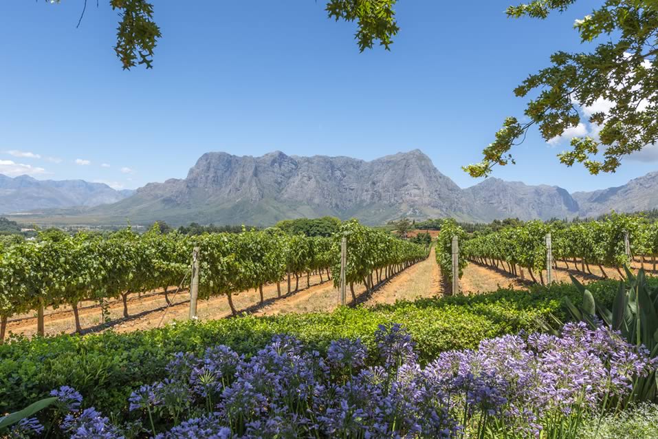Cape Winelands Cape Winelands